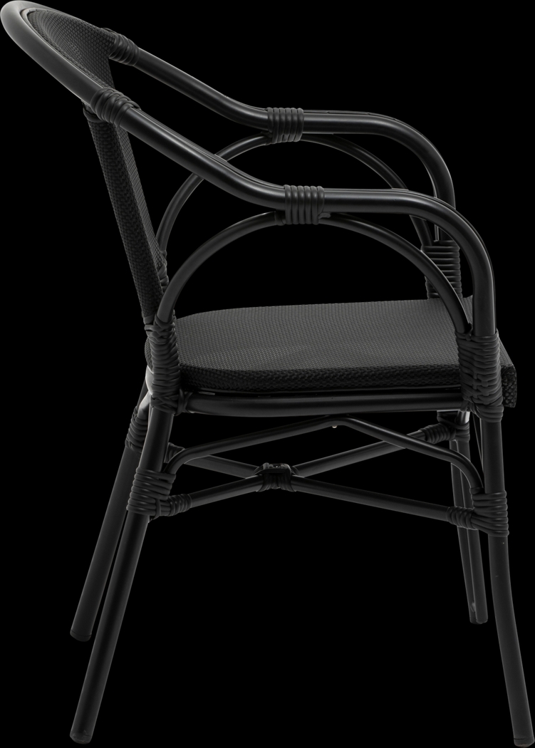 Palumbo I Black Arm Chair, Set of 2 - Thumbnail - Image 6