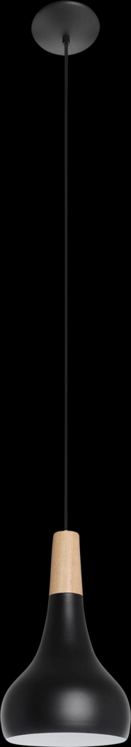 Pappus Summit Black Pendant - Thumbnail - Image 1