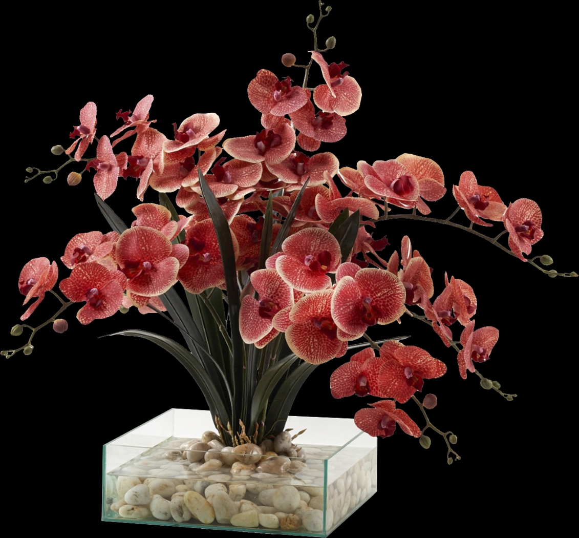 Paquet Red Silk Plant - Thumbnail - Image 1