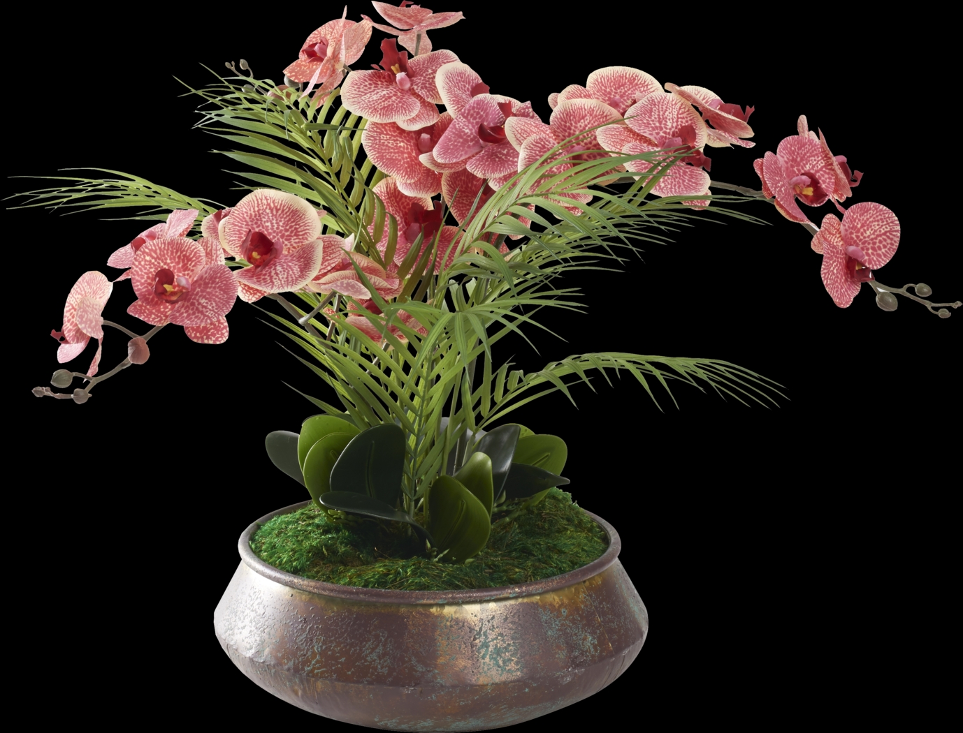 Parducci Copper Plant - Thumbnail - Image 1