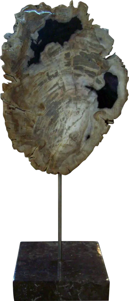 Parham Natural Sculpture - Thumbnail - Image 1
