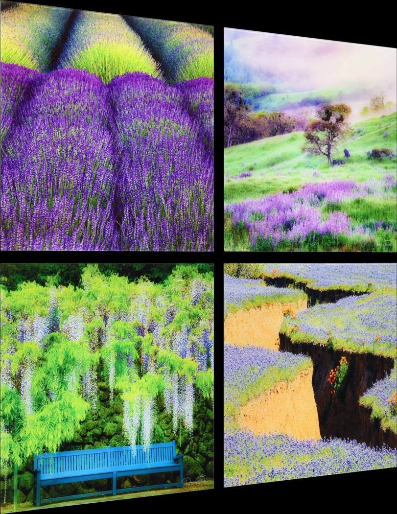 Patzke II Multi Artwork - Thumbnail - Image 3