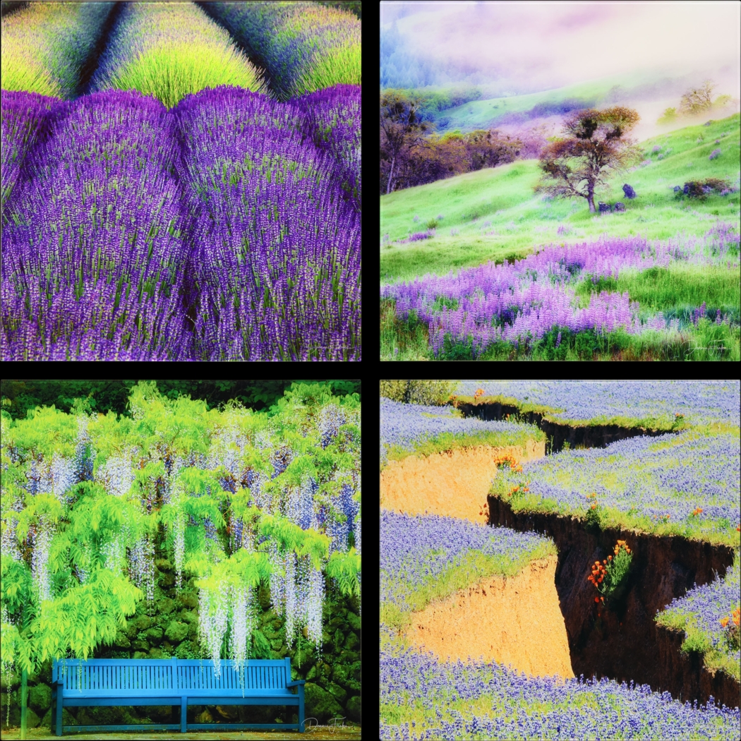 Patzke II Multi Artwork - Thumbnail - Image 1