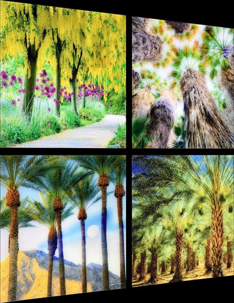 Patzke III Multi Artwork - Thumbnail - Image 3