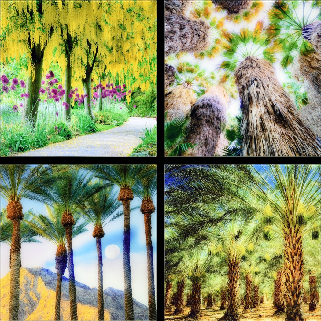 Patzke III Multi Artwork - Thumbnail - Image 1