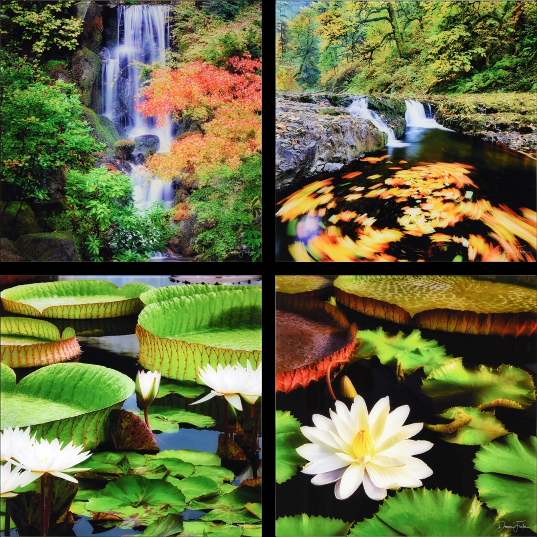 Patzke IV Multi Artwork - Thumbnail - Image 1