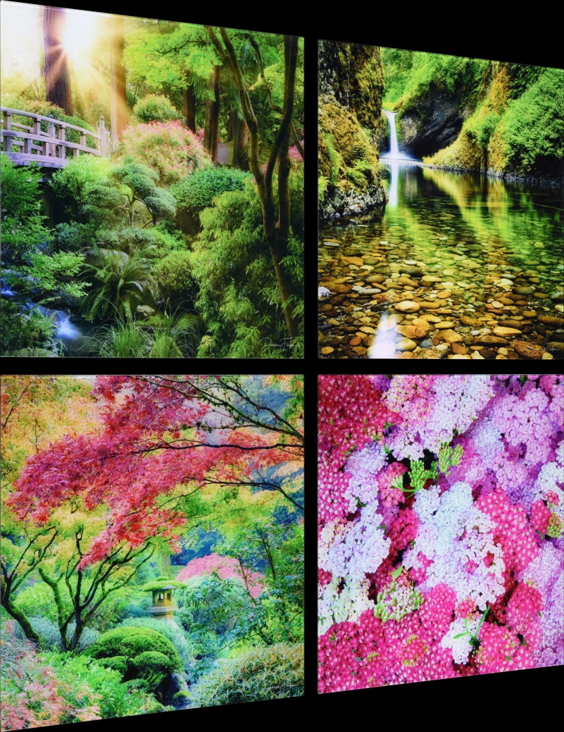 Patzke Multi Artwork - Thumbnail - Image 3