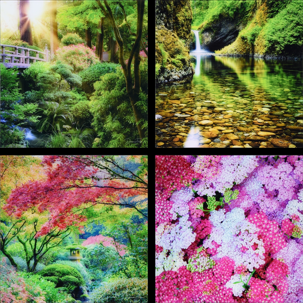 Patzke Multi Artwork - Thumbnail - Image 1