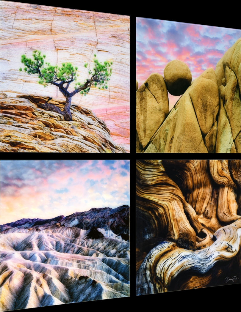 Patzke VI Multi Artwork - Thumbnail - Image 3