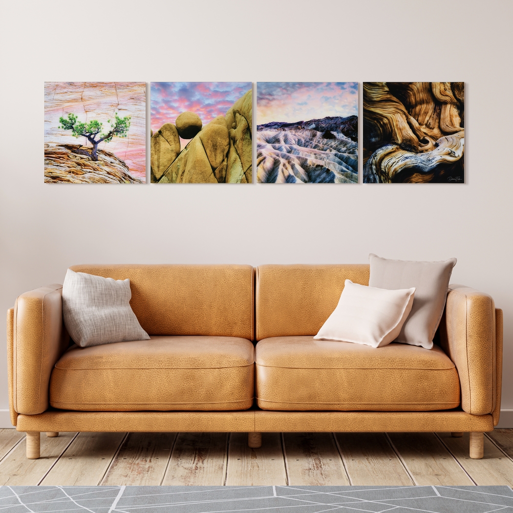 Patzke VI Multi Artwork - Thumbnail - Image 4