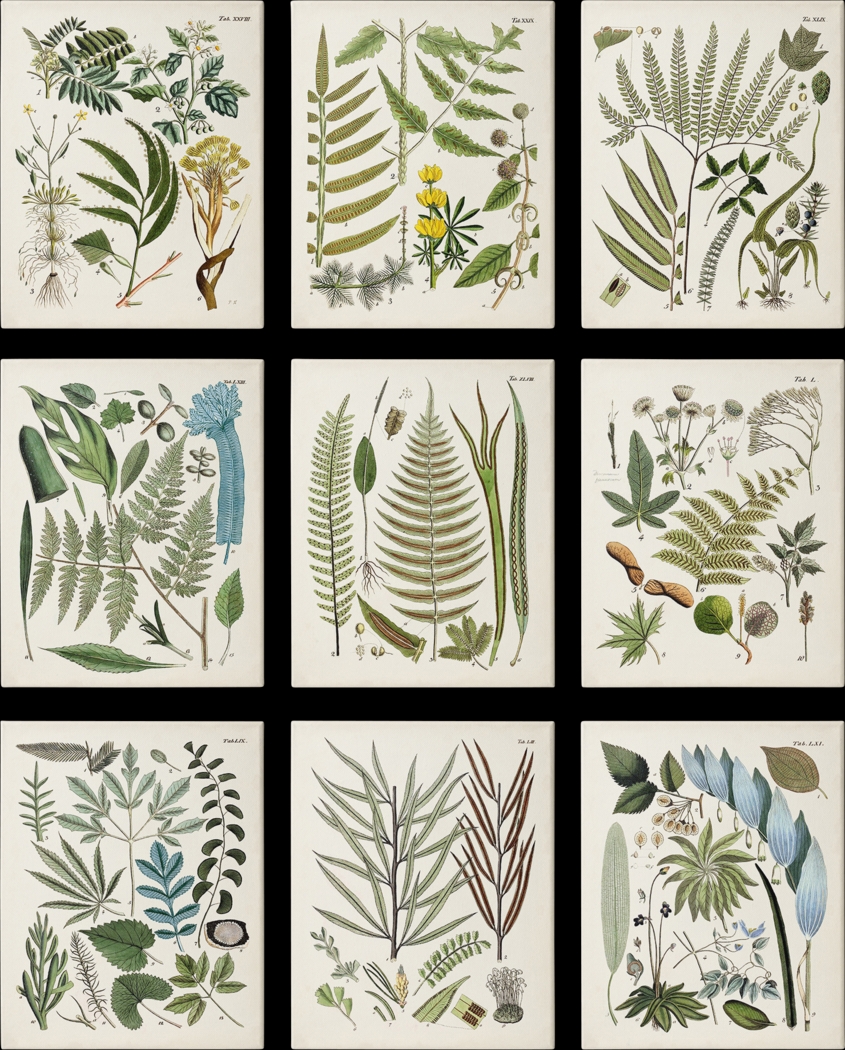 Peaceful Floral Set of 9 Artwork - Thumbnail - Image 1