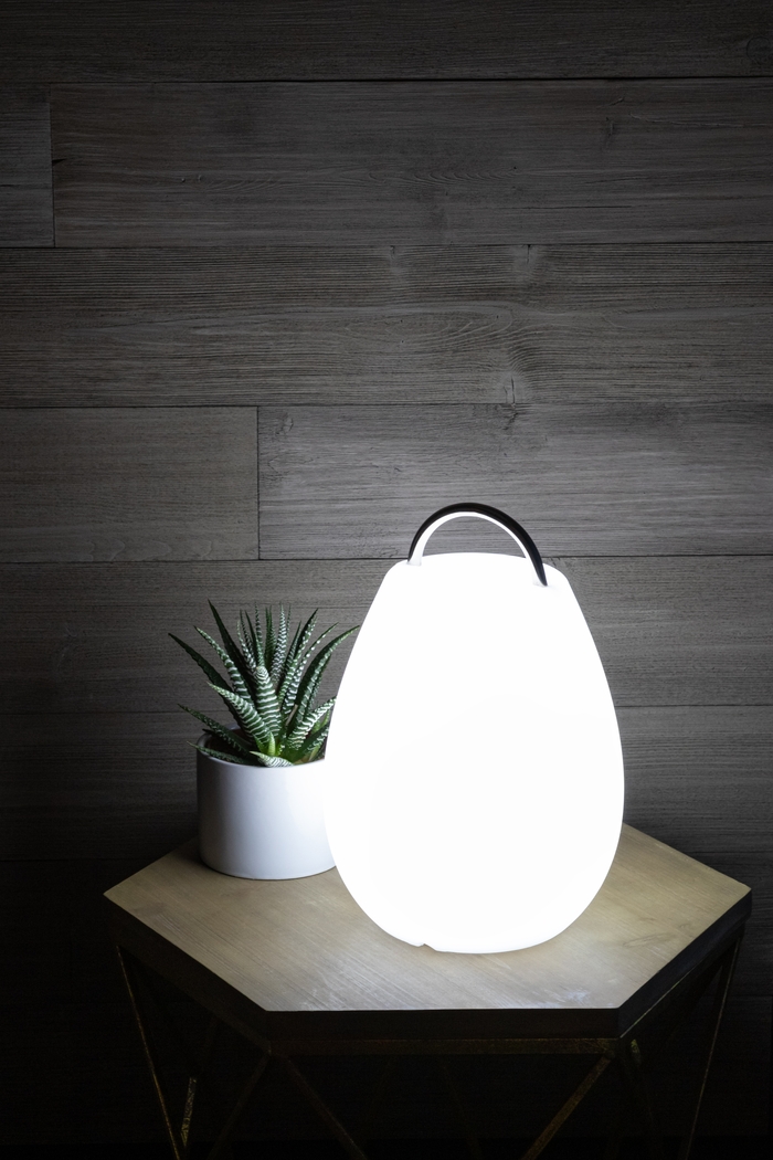 Pedro Cove Indoor/Outdoor White Rechargeable Lantern - Thumbnail - Image 3