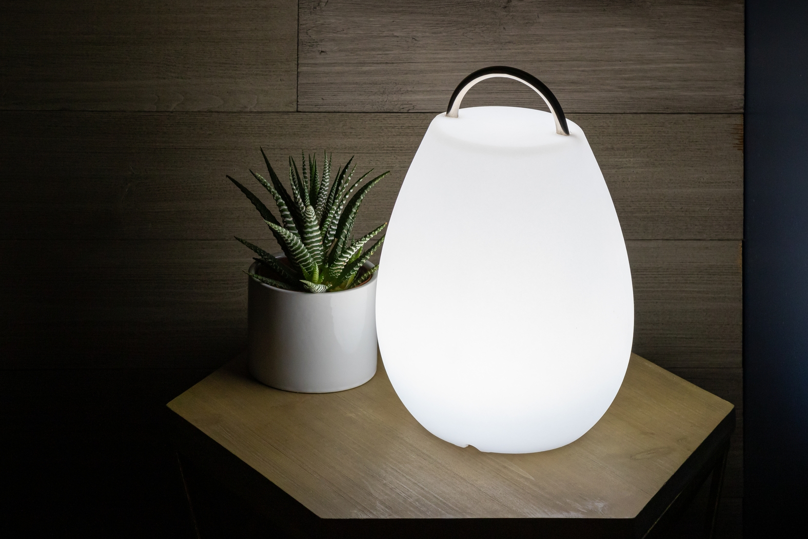 Pedro Cove Indoor/Outdoor White Rechargeable Lantern - Thumbnail - Image 4