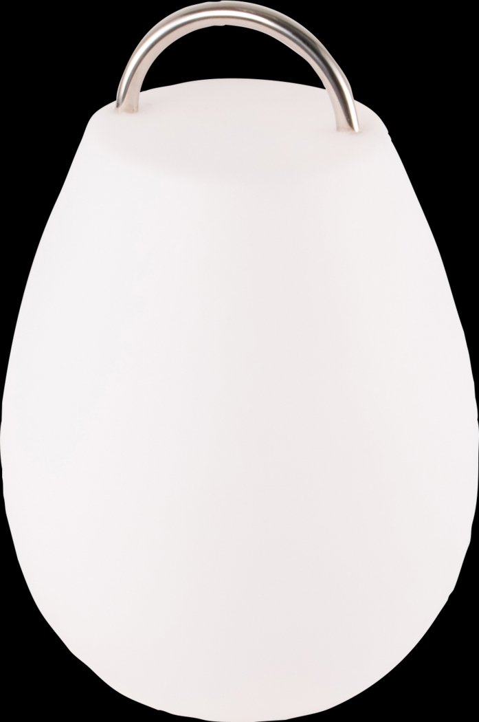 Pedro Cove Indoor/Outdoor White Rechargeable Lantern - Thumbnail - Image 1