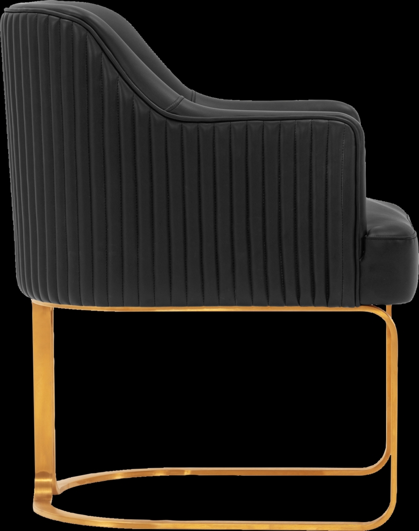 Pegan Black Arm Chair - Thumbnail - Image 8