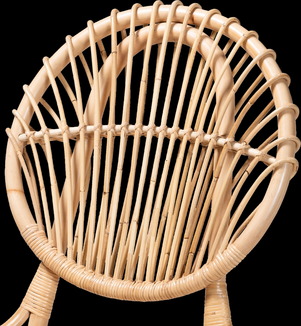 Peterof Natural Side Chair - Thumbnail - Image 6