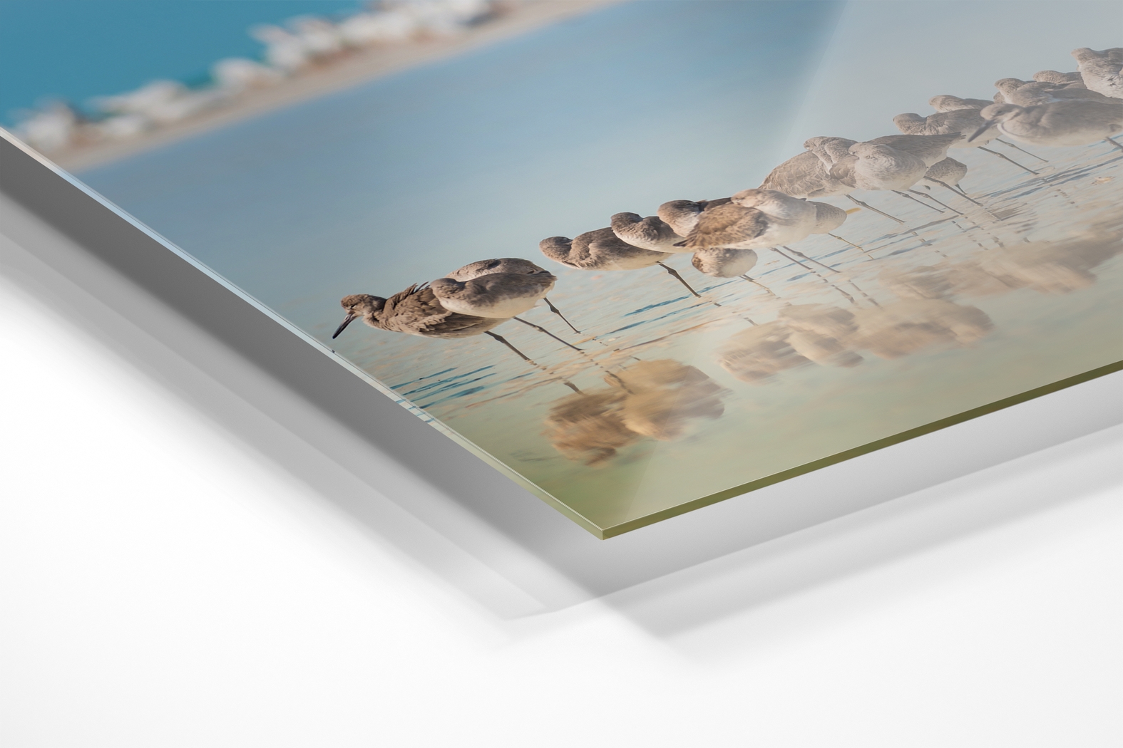 Pevear Blue Artwork - Thumbnail - Image 2