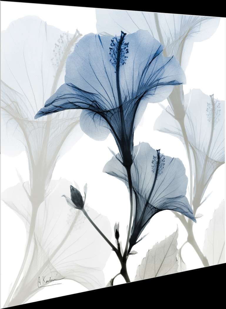 Phenakite Blue Artwork - Thumbnail - Image 5