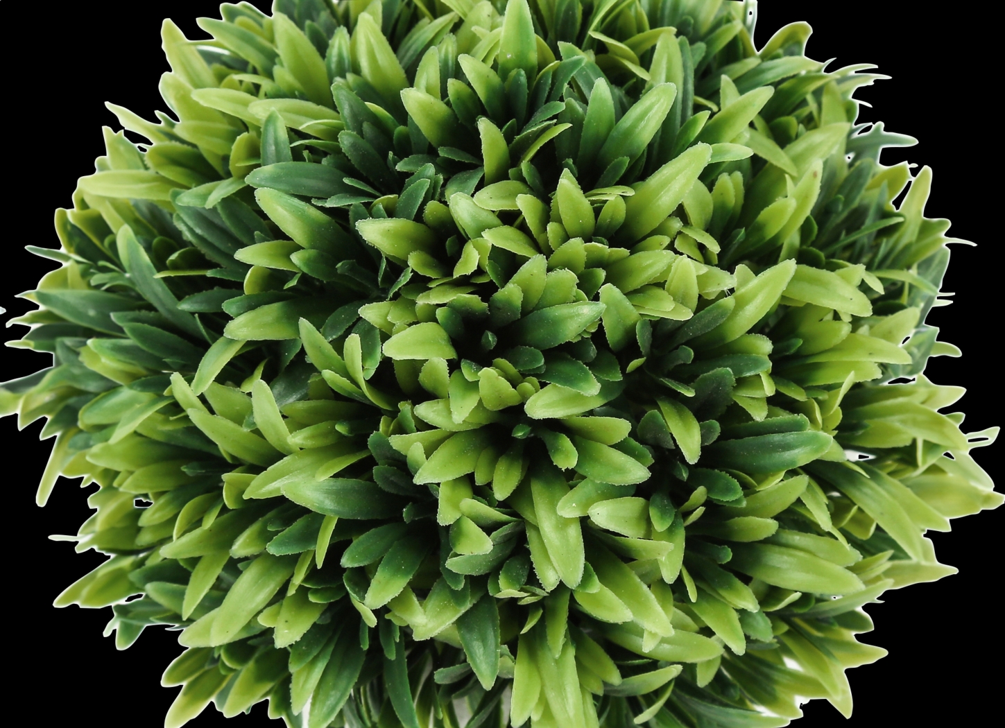 Phister Green Artificial Succulent Plant, Set of 3 - Thumbnail - Image 3