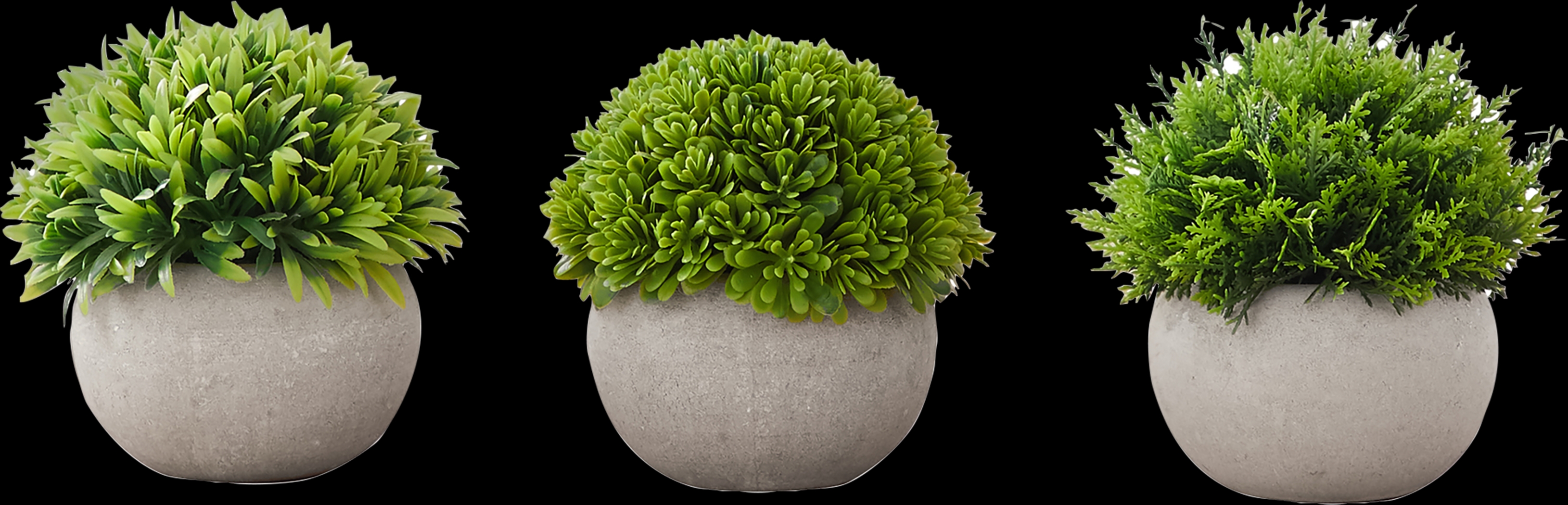 Phister Green Artificial Succulent Plant, Set of 3 - Thumbnail - Image 1