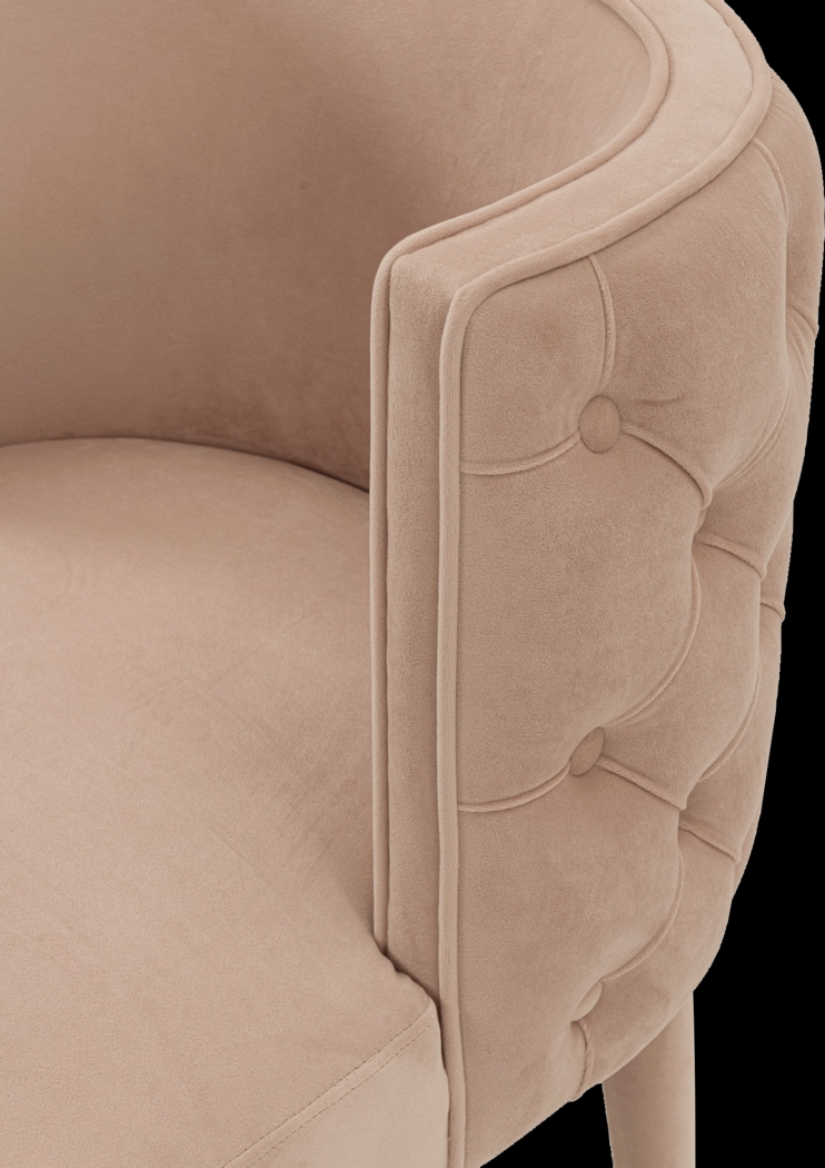 Pickeral Nude Side Chair - Thumbnail - Image 3
