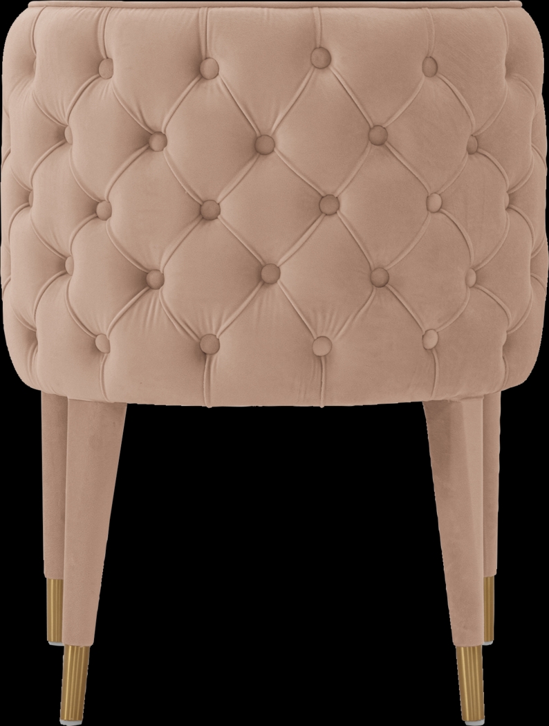 Pickeral Nude Side Chair - Thumbnail - Image 6