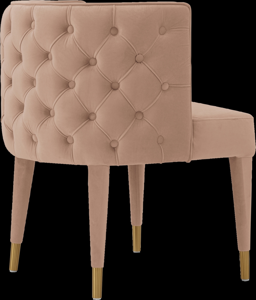 Pickeral Nude Side Chair - Thumbnail - Image 7