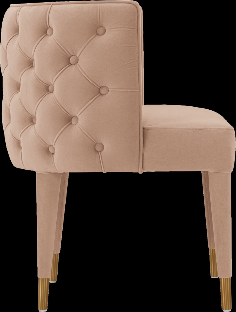 Pickeral Nude Side Chair - Thumbnail - Image 8
