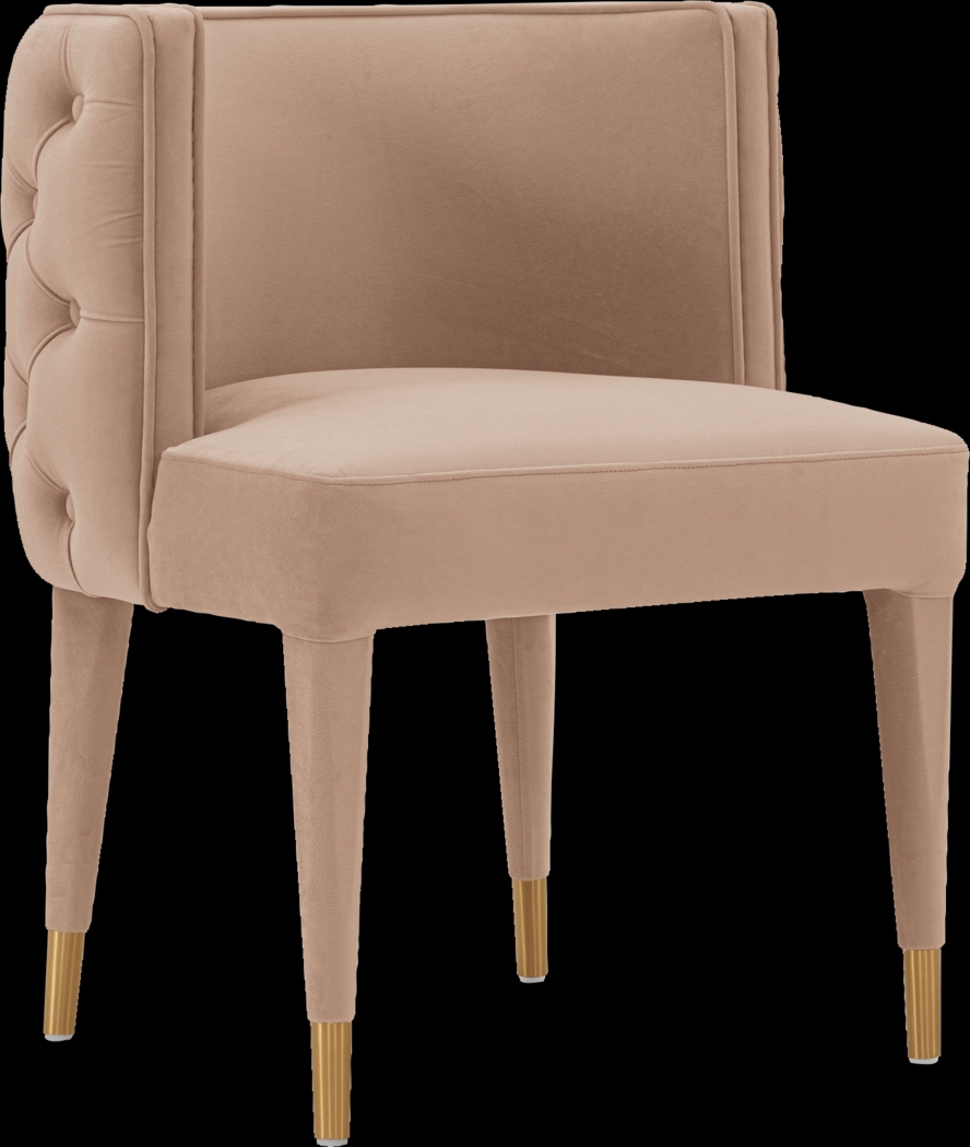 Pickeral Nude Side Chair - Thumbnail - Image 9