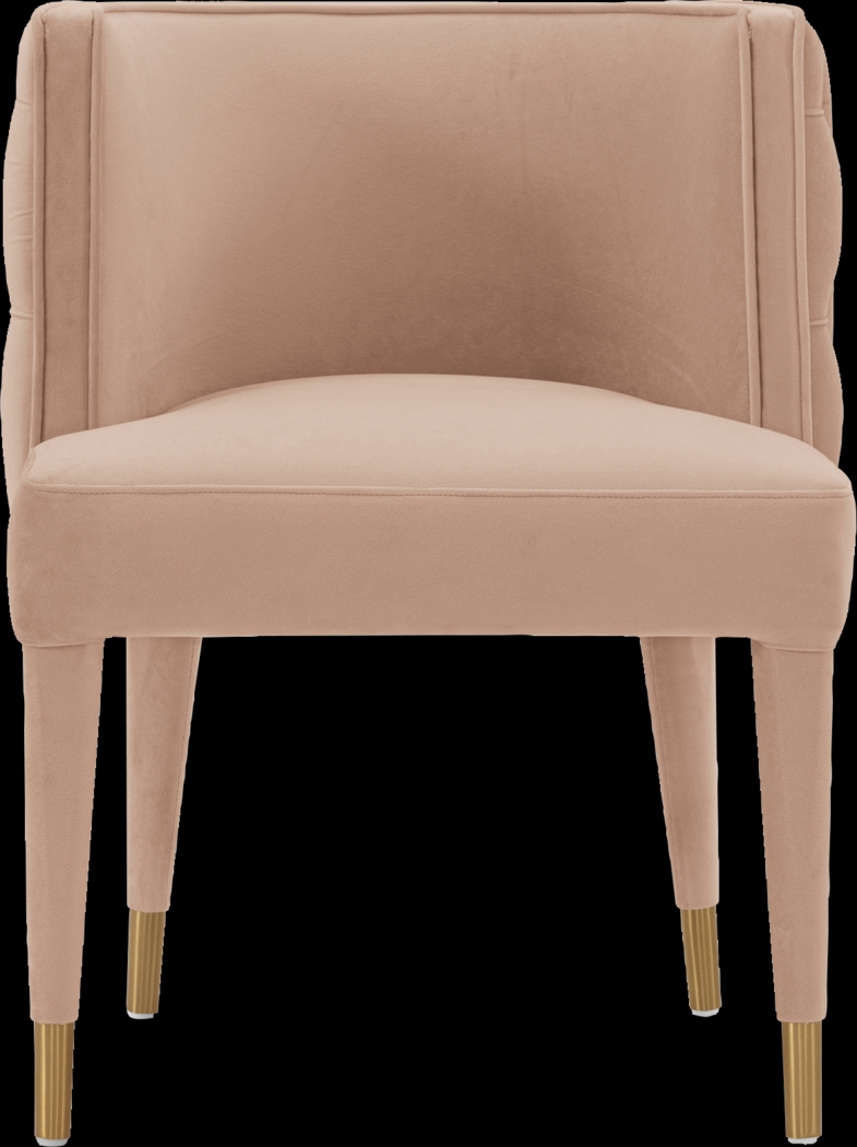 Pickeral Nude Side Chair - Thumbnail - Image 1