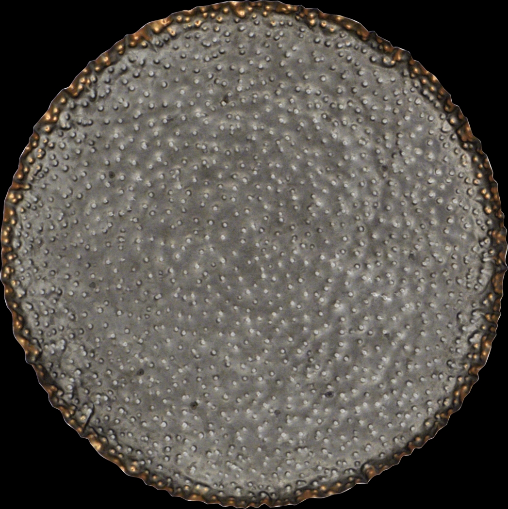 Pierse Metal Gray Wall Decor, Set of 3 - Thumbnail - Image 2