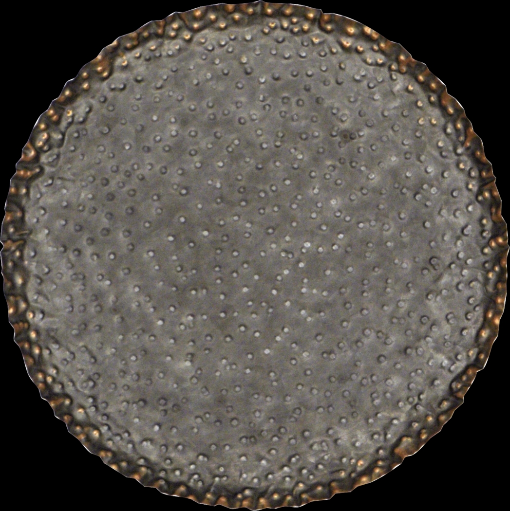 Pierse Metal Gray Wall Decor, Set of 3 - Thumbnail - Image 4