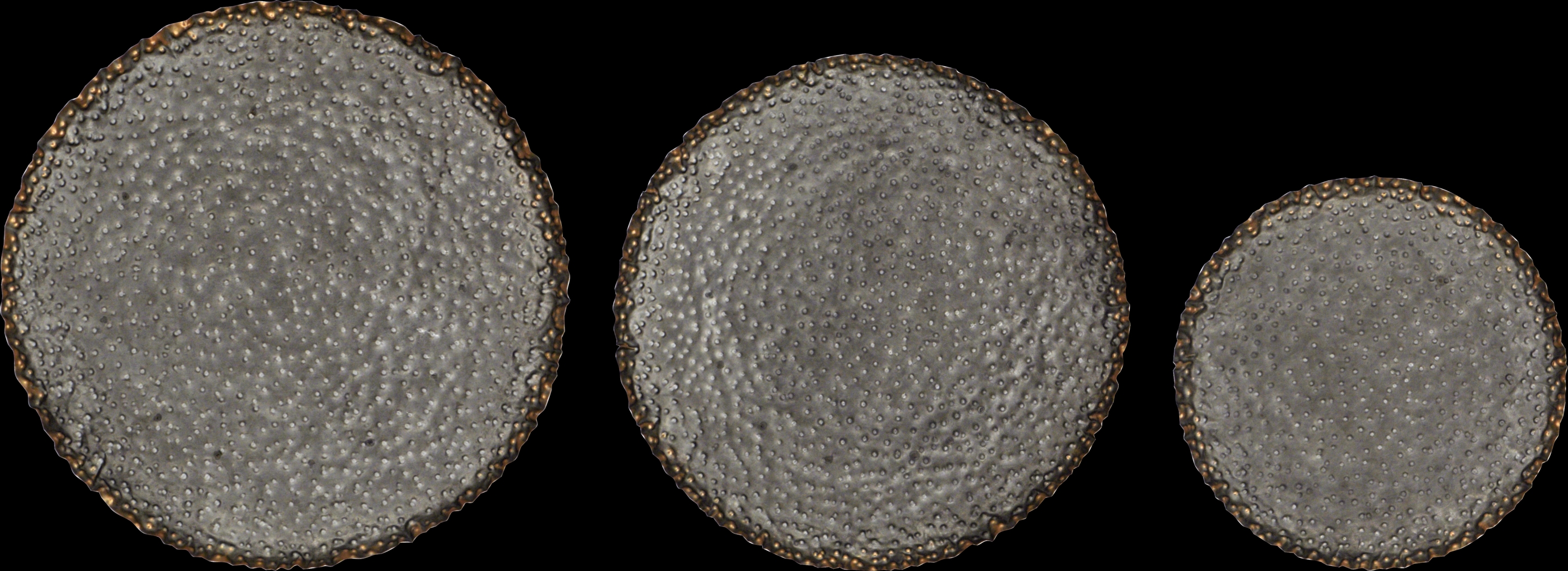 Pierse Metal Gray Wall Decor, Set of 3 - Thumbnail - Image 1