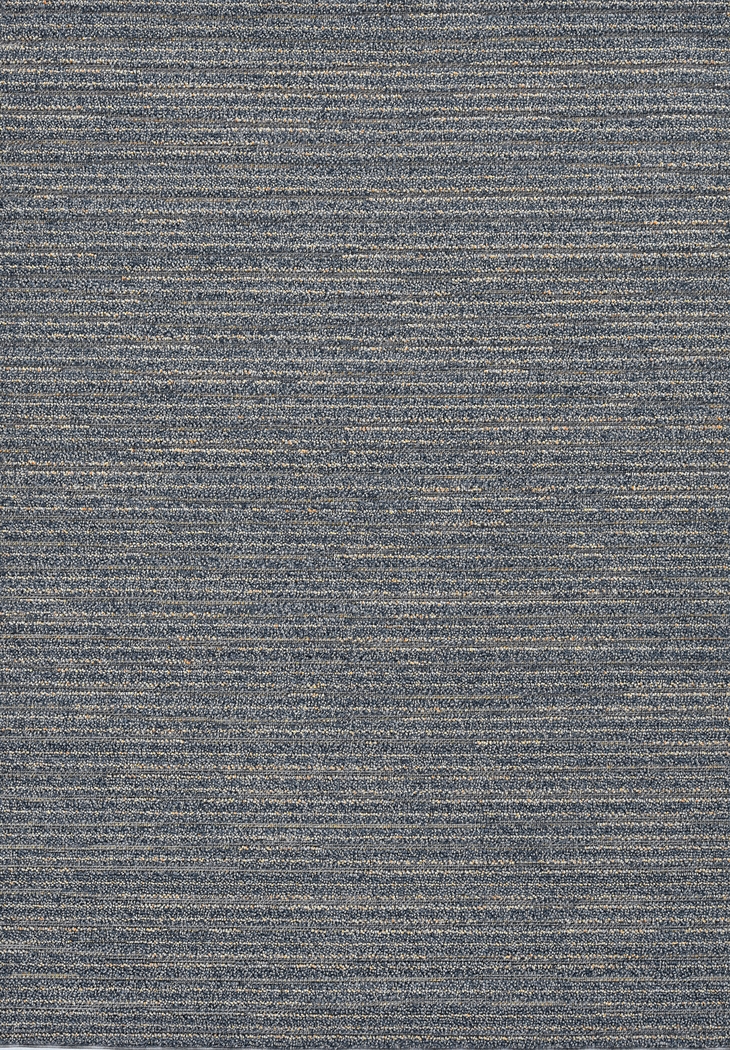 Pineway Denim 5' x 7'6 Indoor/Outdoor Rug - Thumbnail - Image 1