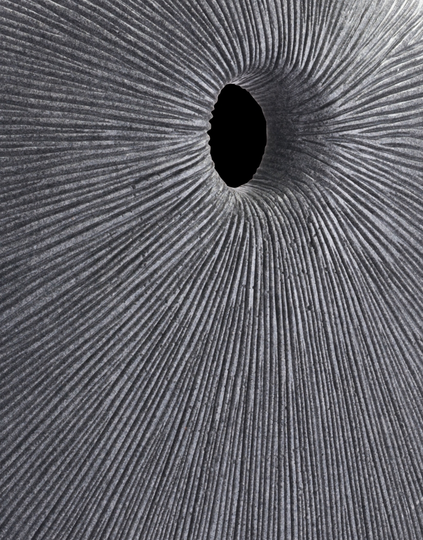 Piperita Gray Medium Outdoor Round Eye Plaque - Thumbnail - Image 4