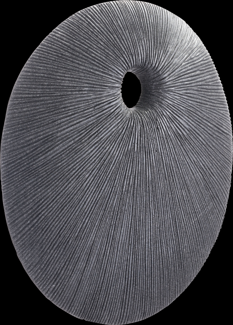 Piperita Gray Medium Outdoor Round Eye Plaque - Thumbnail - Image 1