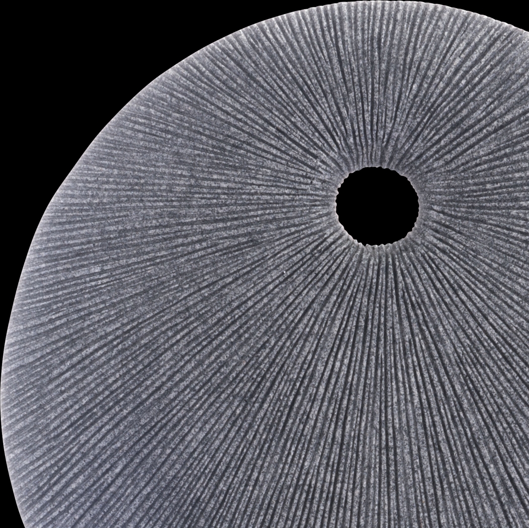 Piperita Gray Small Outdoor Round Eye Plaque - Thumbnail - Image 3