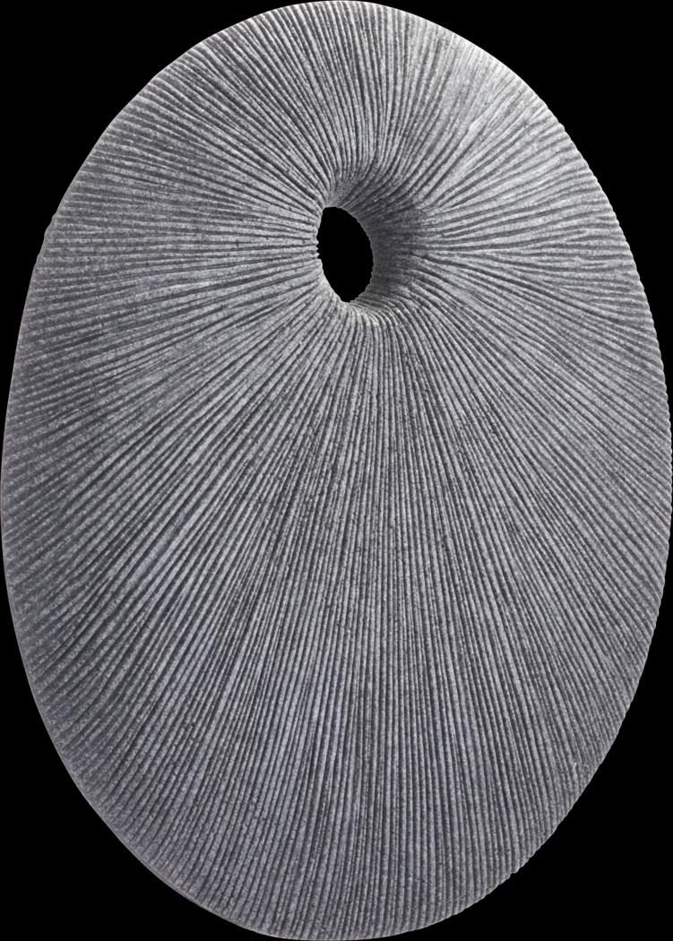 Piperita Gray Small Outdoor Round Eye Plaque - Thumbnail - Image 1