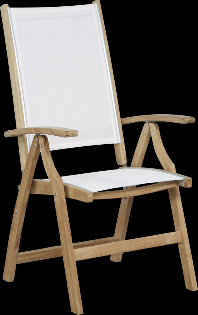 Pleasant Bay Teak Tan Outdoor Adjustable Arm Chair - Thumbnail - Image 1