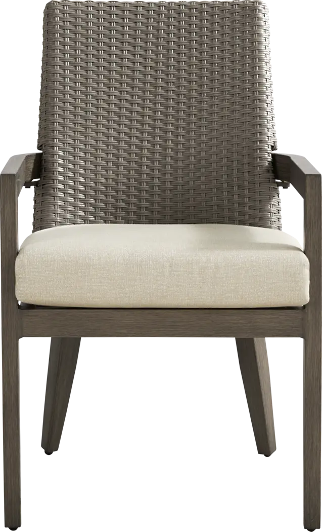 Point Reyes Brown Outdoor Arm Chair - Thumbnail - Image 2