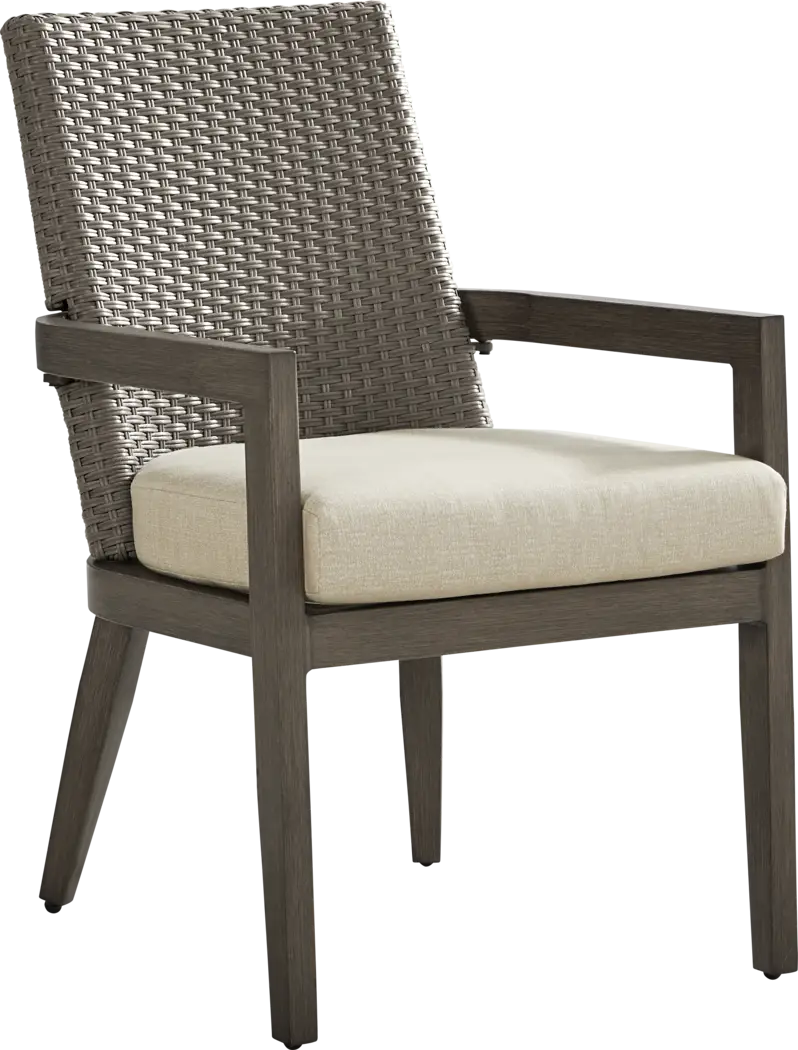 Point Reyes Brown Outdoor Arm Chair - Thumbnail - Image 1