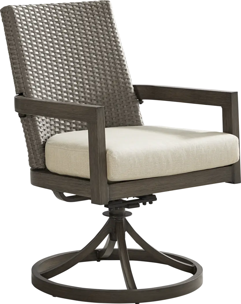 Point Reyes Brown Outdoor Swivel Rocker Dining Chair - Thumbnail - Image 1