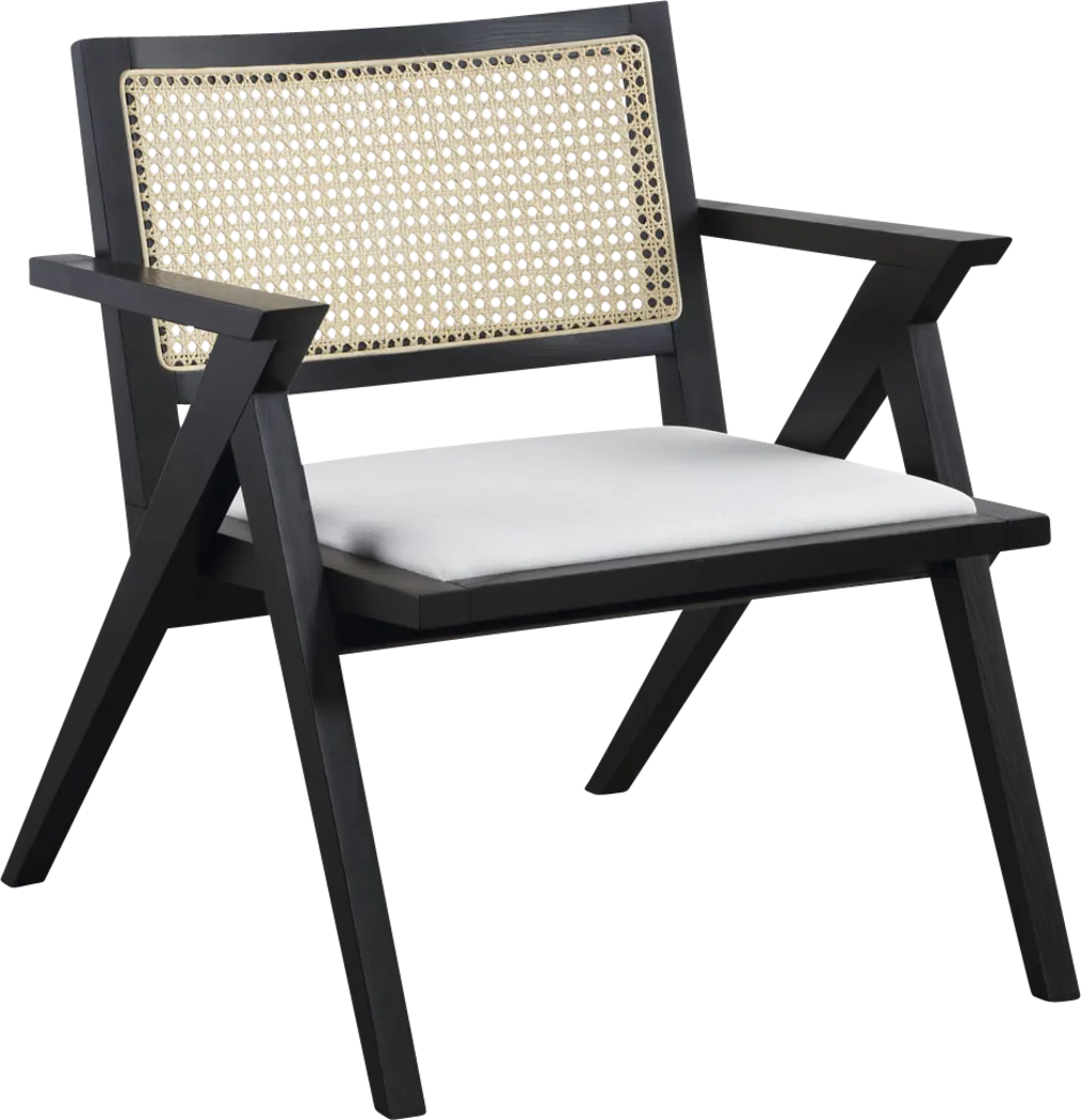 Radpar Black Accent Chair - Thumbnail - Image 1