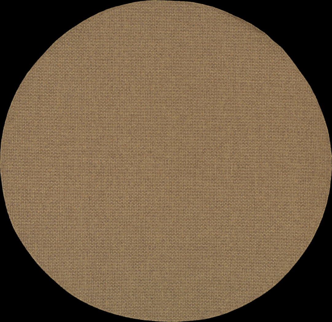 Randi Brown 7'10 Round Indoor/Outdoor Rug - Thumbnail - Image 1