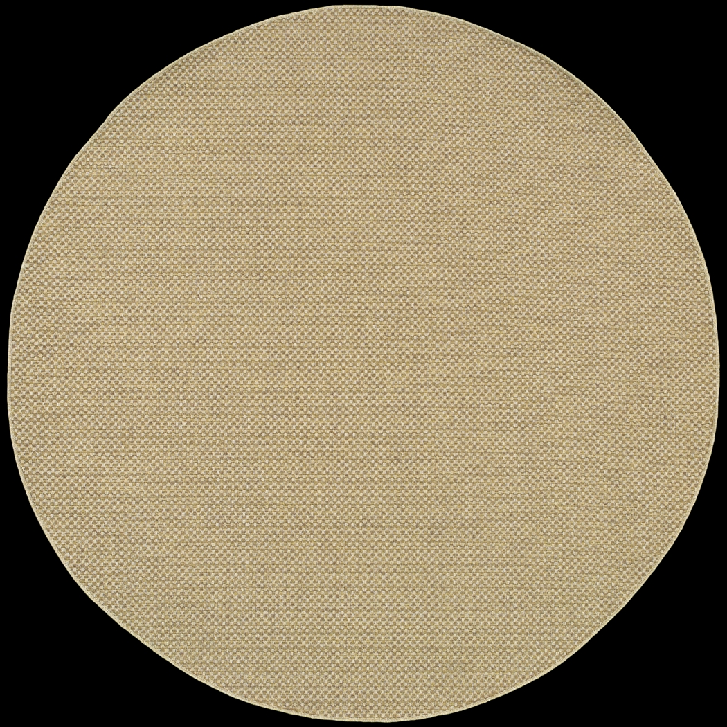 Randi Natural 7'10 Round Indoor/Outdoor Rug - Thumbnail - Image 1