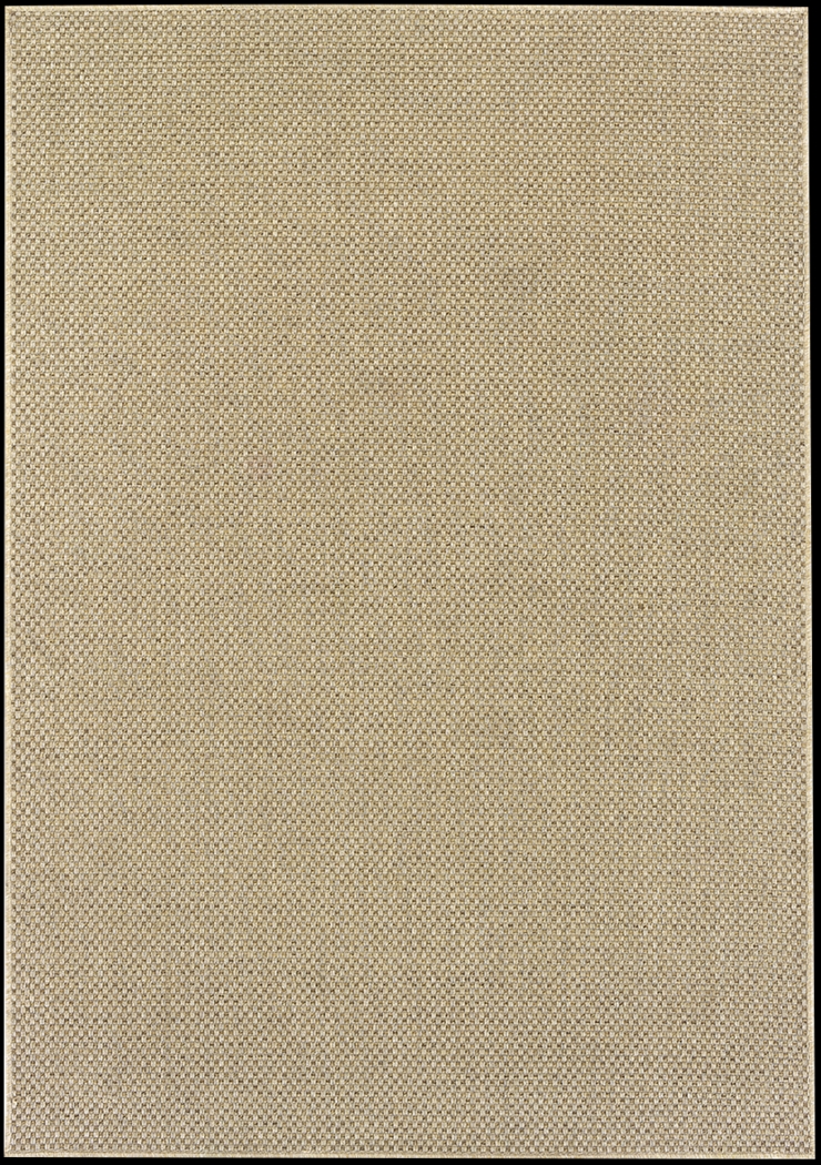 Randi Natural 7'10 x 10'10 Indoor/Outdoor Rug - Thumbnail - Image 1