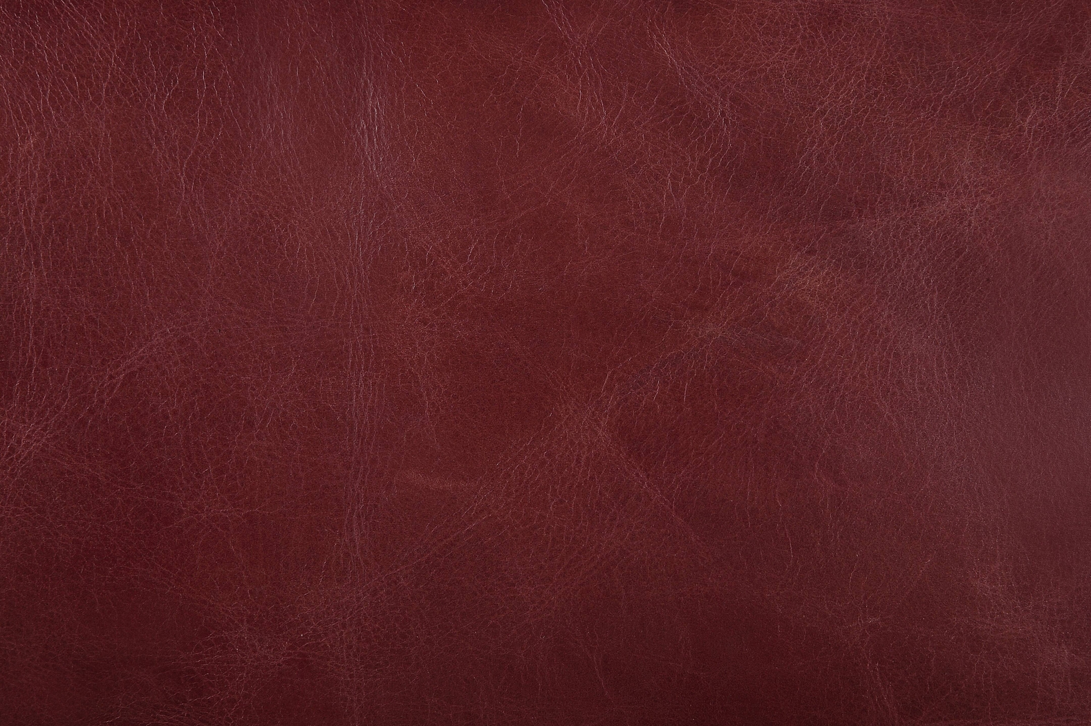 Regallie Ruby Office Chair - Thumbnail - Image 6