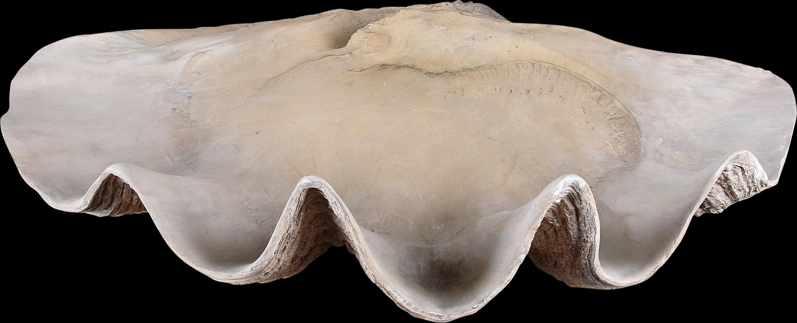 Renita White Bowl - Thumbnail - Image 1