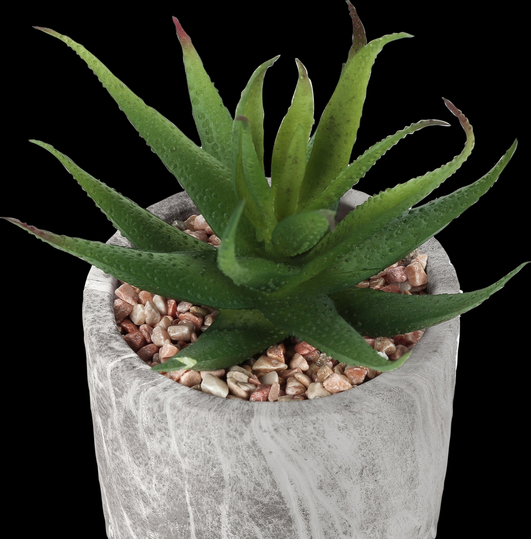 Reordan Green Artificial Succulent Plant, Set of 2 - Thumbnail - Image 3
