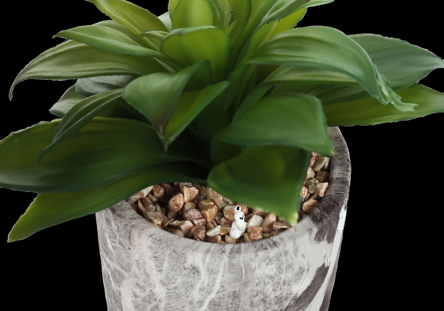 Reordan Green Artificial Succulent Plant, Set of 2 - Thumbnail - Image 4